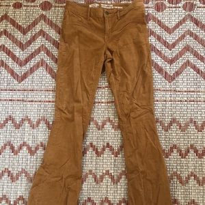 Mossimo Brown Bootcut Low Rise Cords